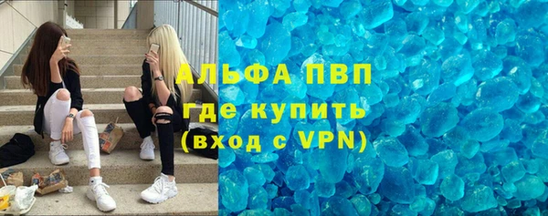 сатива Арсеньев