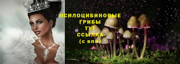 сатива Арсеньев