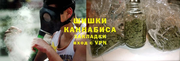 сатива Арсеньев