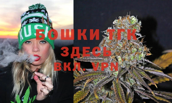 сатива Арсеньев