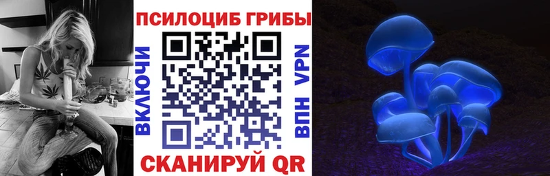 hydra рабочий сайт  Вязьма  Галлюциногенные грибы ЛСД 
